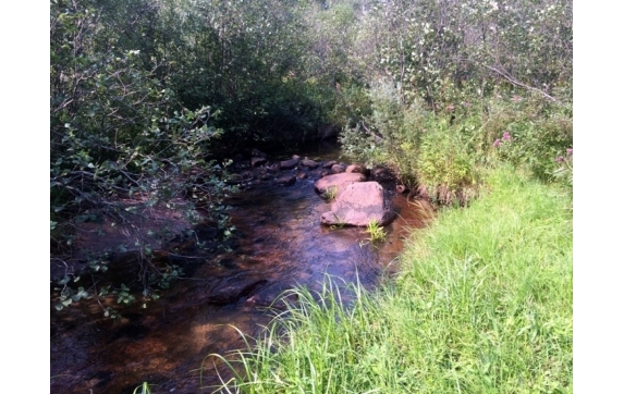 Handsaw Creek Property