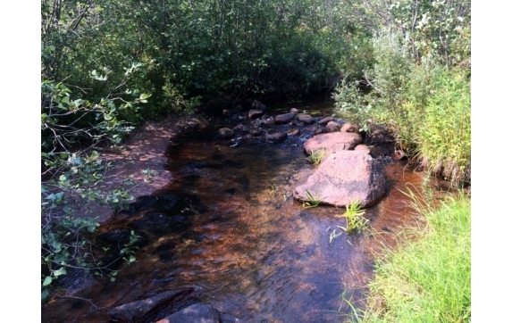 Handsaw Creek Property