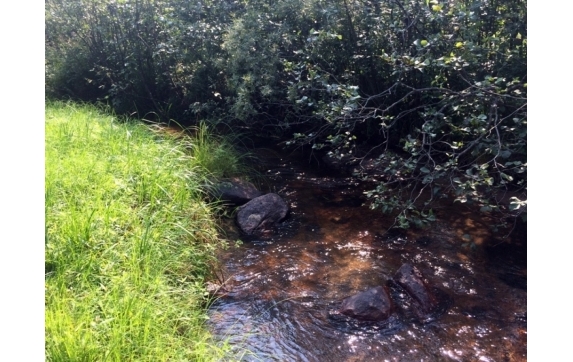 Handsaw Creek Property