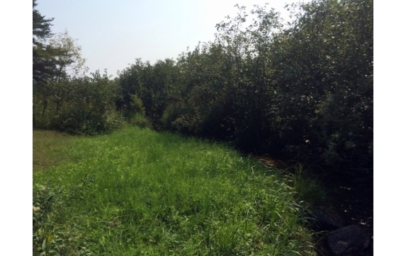 Handsaw Creek Property