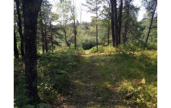 High Falls Marinette County Land for Sale