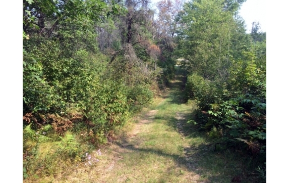 High Falls Marinette County Land for Sale