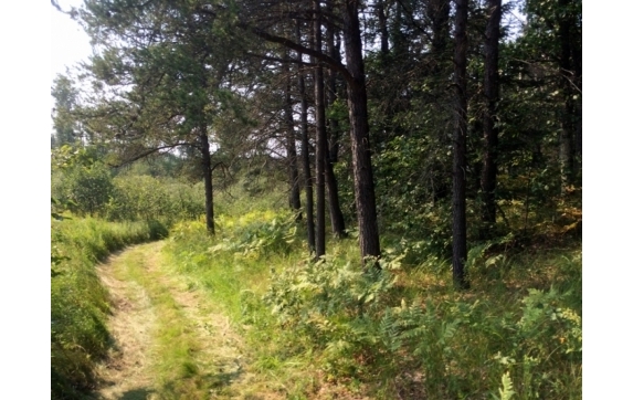 High Falls Marinette County Land for Sale