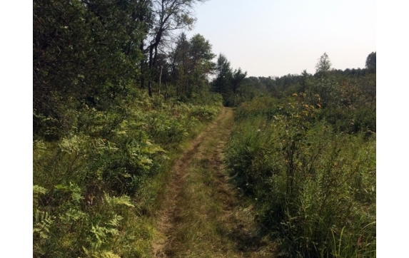 High Falls Marinette County Land for Sale