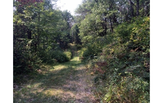 High Falls Marinette County Land for Sale
