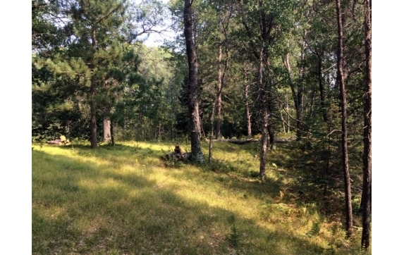 High Falls Marinette County Land for Sale
