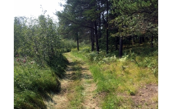 High Falls Marinette County Land for Sale