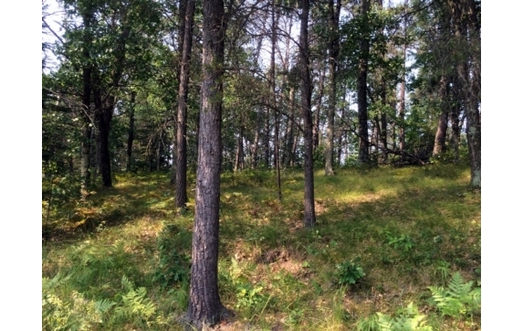 High Falls Marinette County Land for Sale