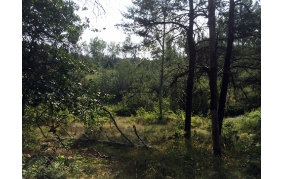 High Falls Marinette County Land for Sale