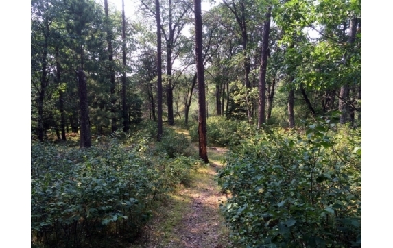 High Falls Marinette County Land for Sale