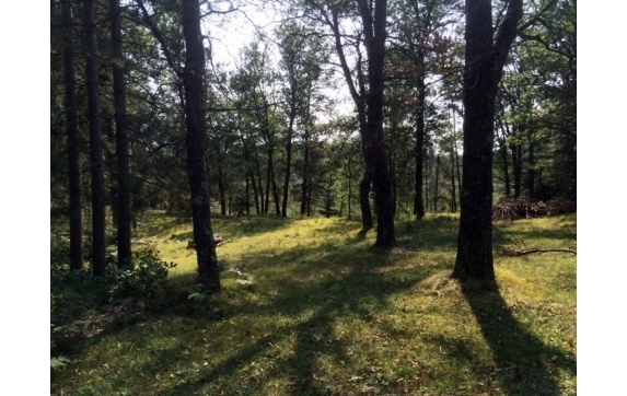 High Falls Marinette County Land for Sale