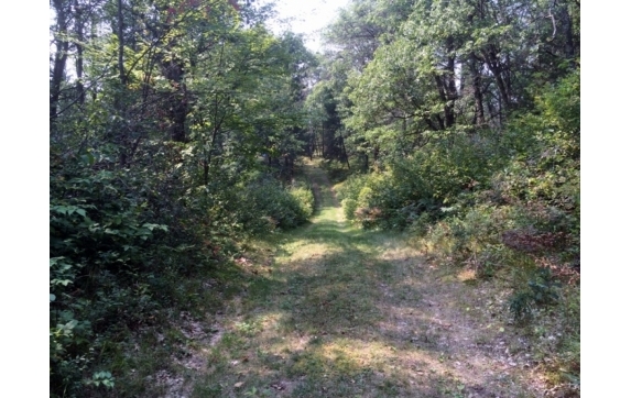 High Falls Marinette County Land for Sale