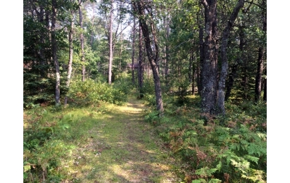 High Falls Marinette County Land for Sale