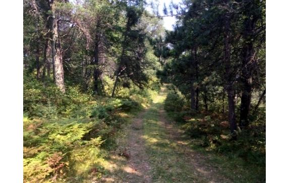 High Falls Marinette County Land for Sale