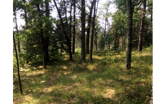 High Falls Marinette County Land for Sale