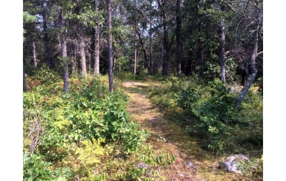 High Falls Marinette County Land for Sale