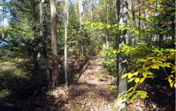 Oconto County Maiden Lake Property for Sale