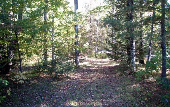 Oconto County Maiden Lake Property for Sale