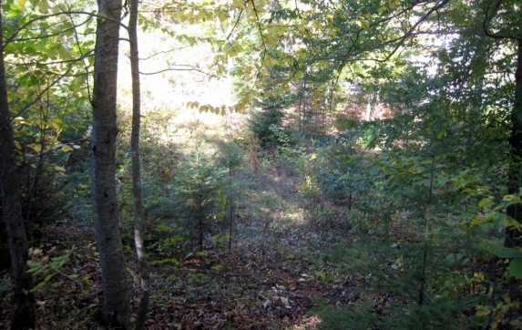 Oconto County Maiden Lake Property for Sale
