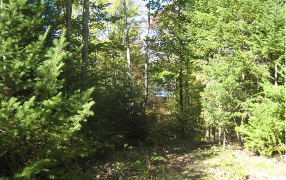 Oconto County Maiden Lake Property for Sale