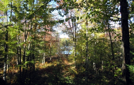 Oconto County Maiden Lake Property for Sale