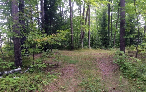 Maiden Lake WI Real Estate