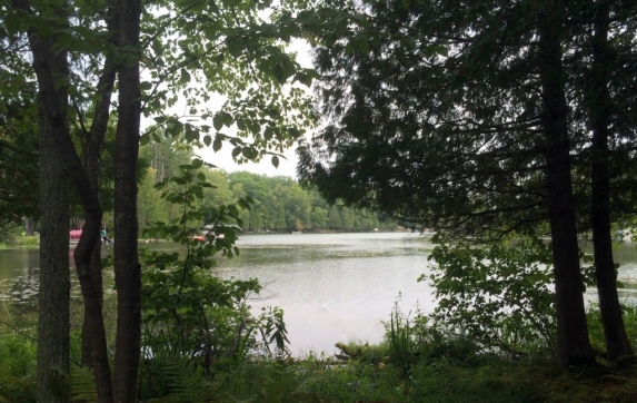 Maiden Lake WI Real Estate
