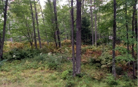 Maiden Lake WI Real Estate