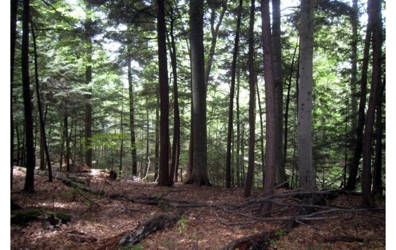 Long Lake Property - Kelly Lake, Wisconsin