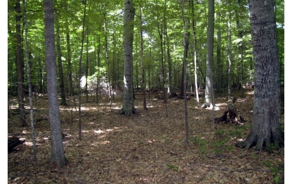 Long Lake Property - Kelly Lake, Wisconsin