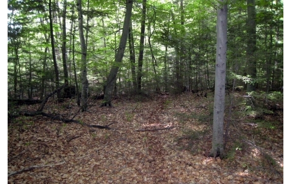 Long Lake Property - Kelly Lake, Wisconsin