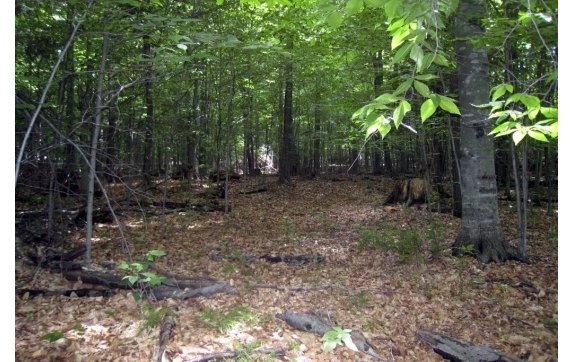 Long Lake Property - Kelly Lake, Wisconsin