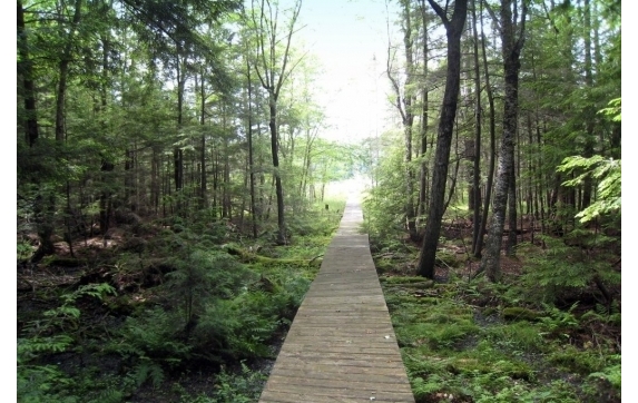 Long Lake Property - Kelly Lake, Wisconsin