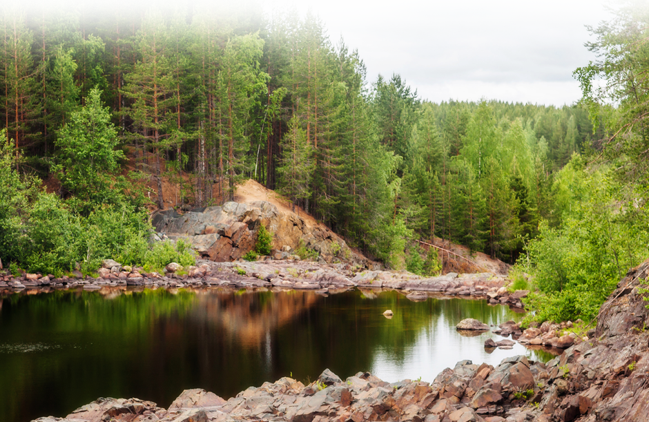 A gully surrounded by trees
