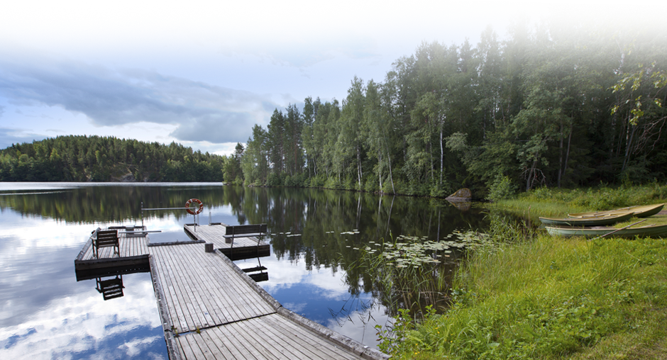 A dock and nature